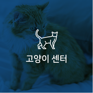 고양이 센터