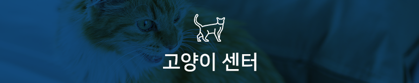 고양이 센터